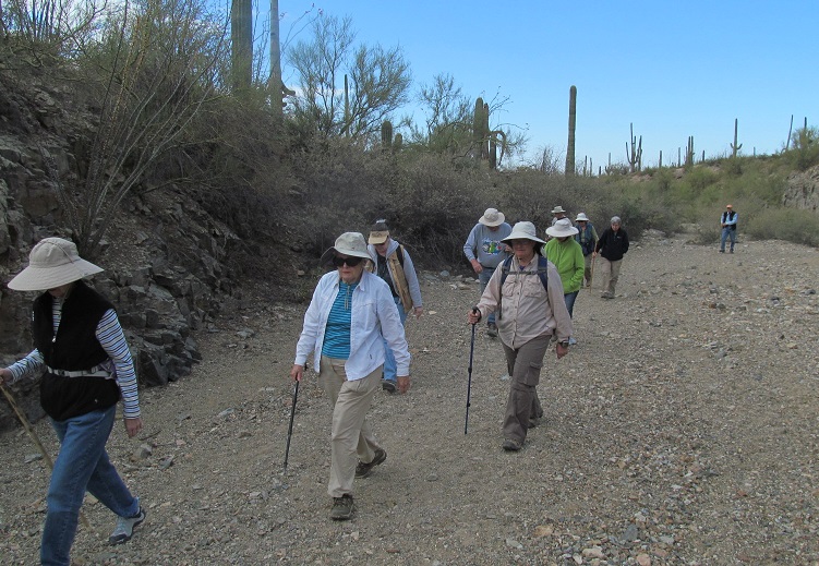 Hike DownTheTrail