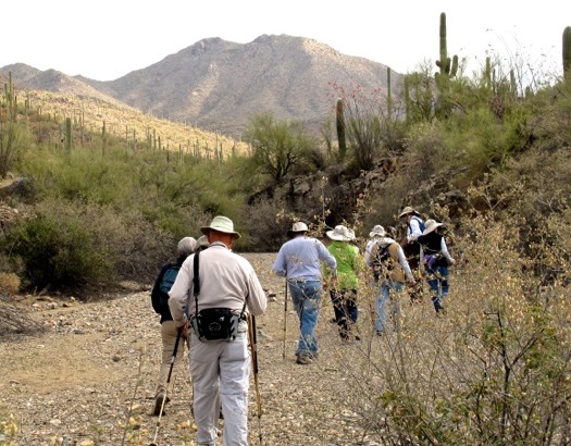 Hike UpTheTrail